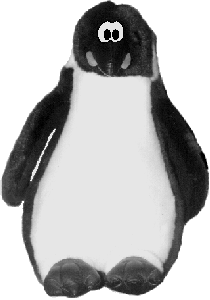 Penguin